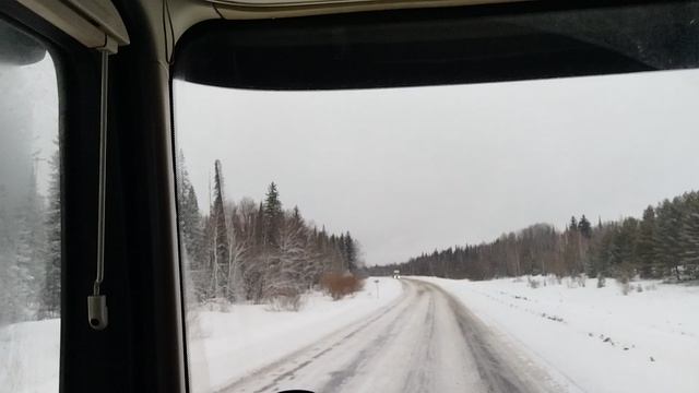 ОПЯТЬ ЗИМА?