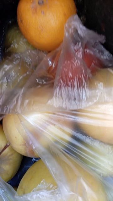 6fff218948c368c3e34955200882c370