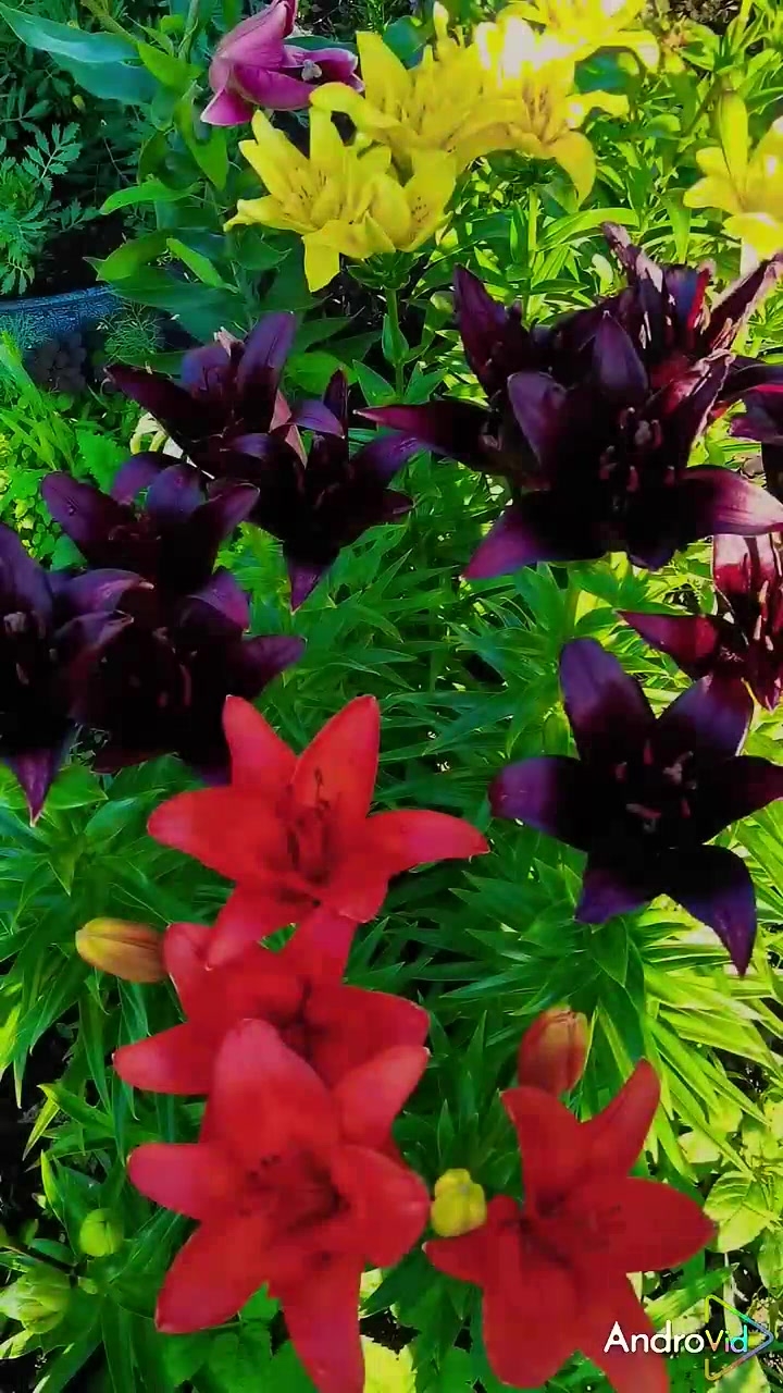 Надежда наша и опора, это ты, Господи! 🙏 #молитва