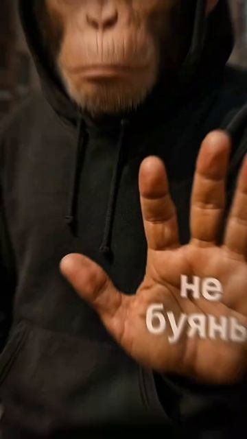 Коротко о дзюдо: