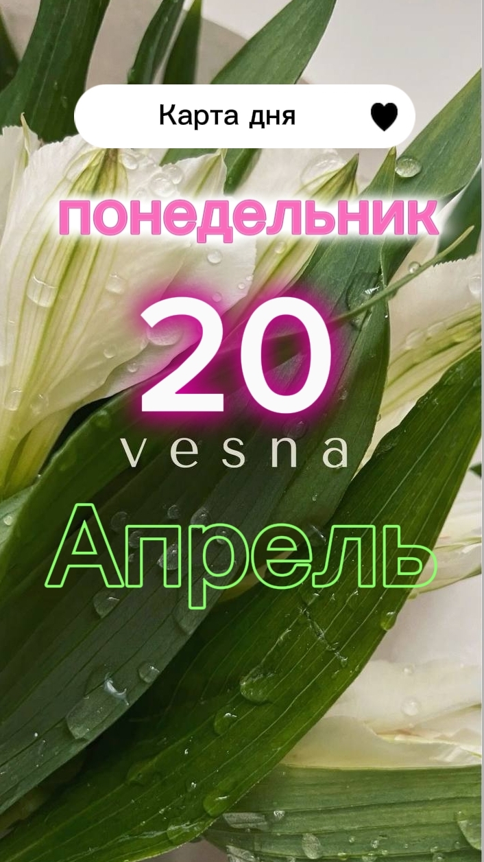 2a80404b407323cef94c9b4db2b4b537