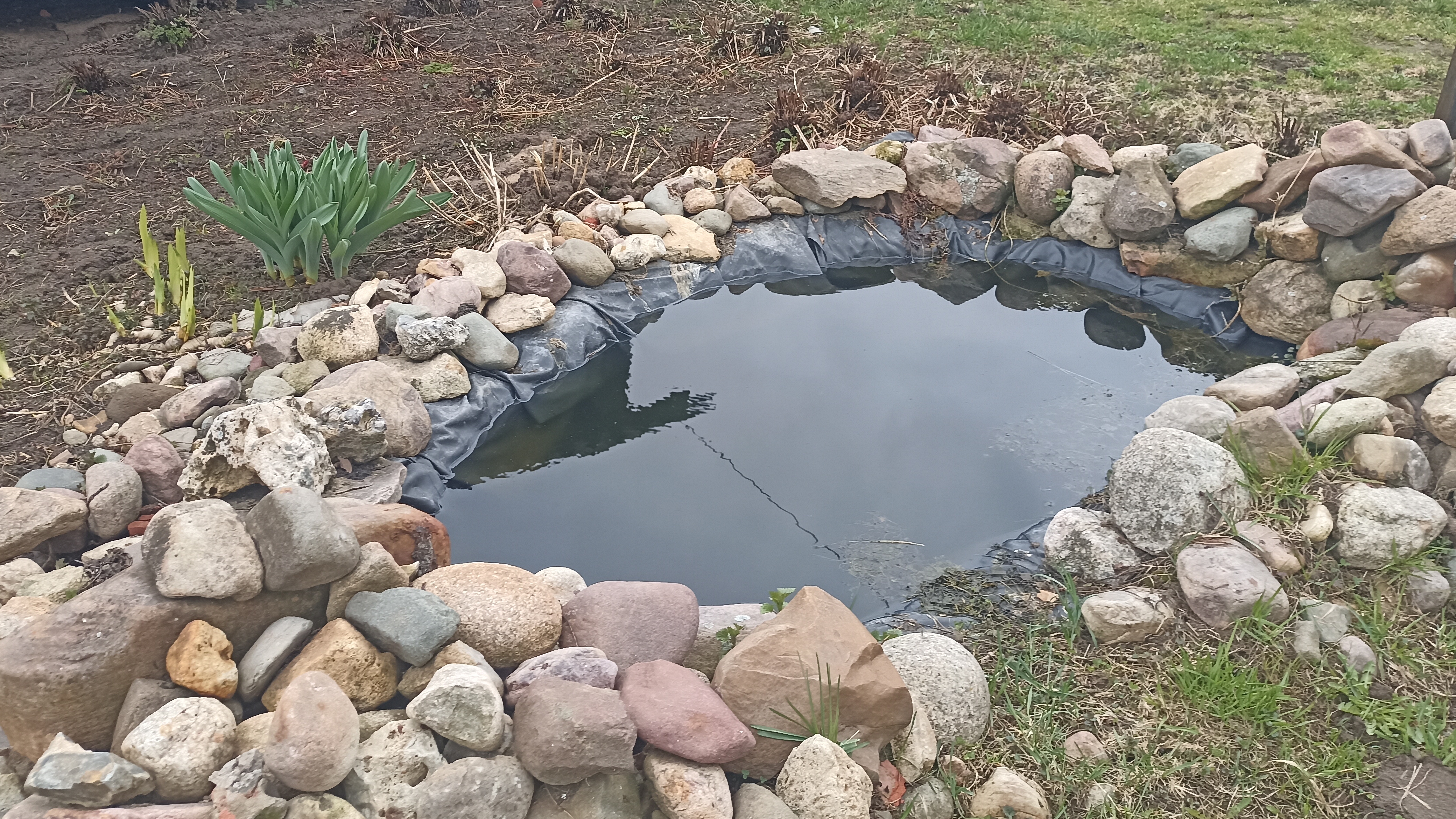 Обзор огорода 19 апреля 2026 г. Открыли чеснок. Делаем опоры для кустов.