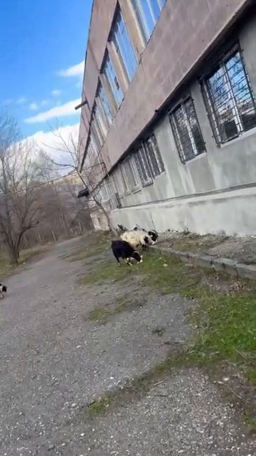 🇦🇲A❤️R💙M🧡E📖N✝️I🗻A🤝