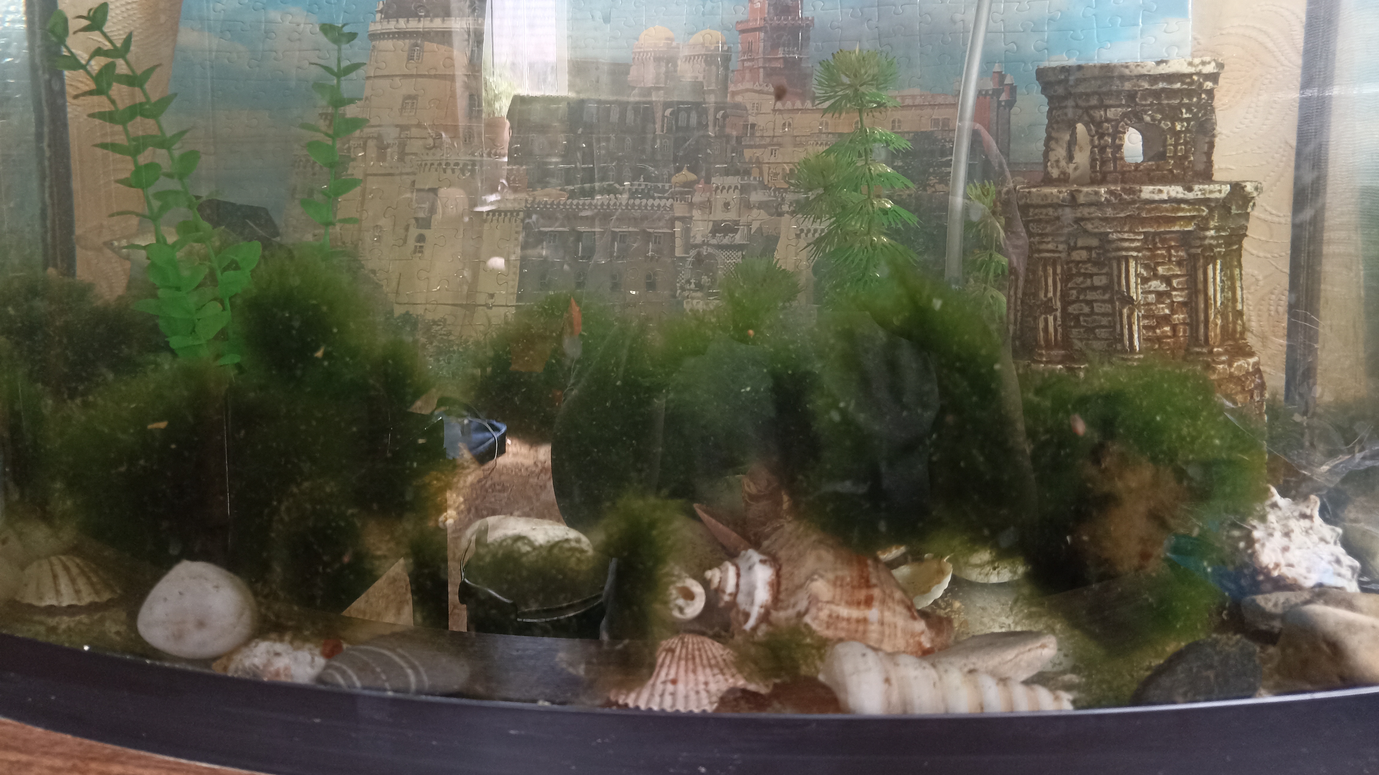 18.04.2026... в деревню на один день...