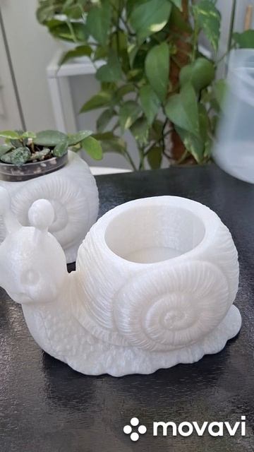 КАШПО УЛИТКА.КОМНАТНЫЕ РАСТЕНИЯ(ЦВЕТЫ).