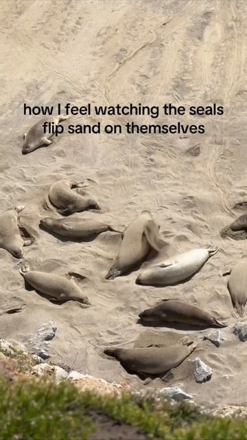 Песочные ванны