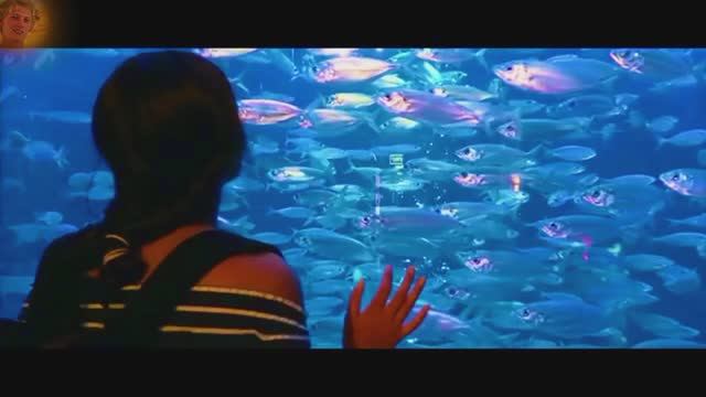 Я ТЕБЯ УКРАДУ