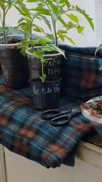 С Красной Горкой Всех✅ 
Выходной день ✅