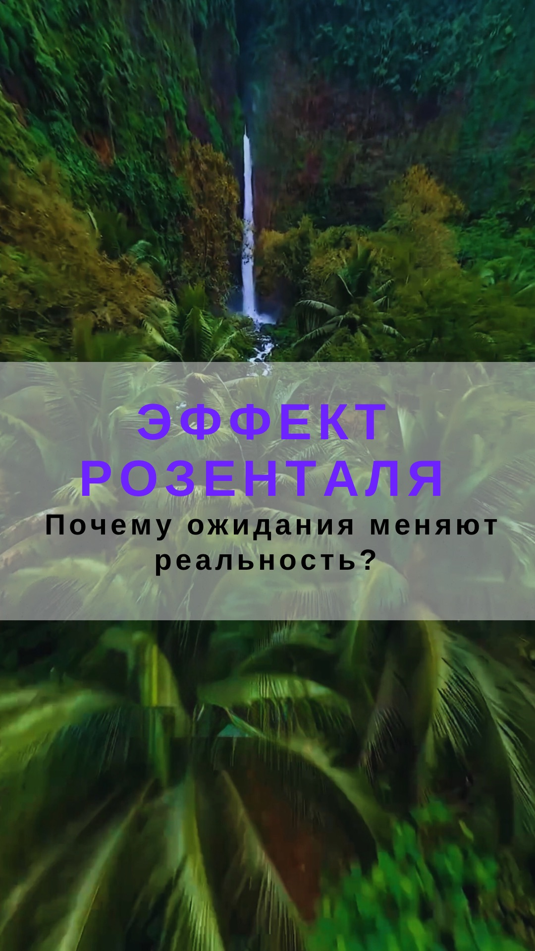 Как работает эффект Розенталя? Почему чужие ожидания меняют твою реальность?