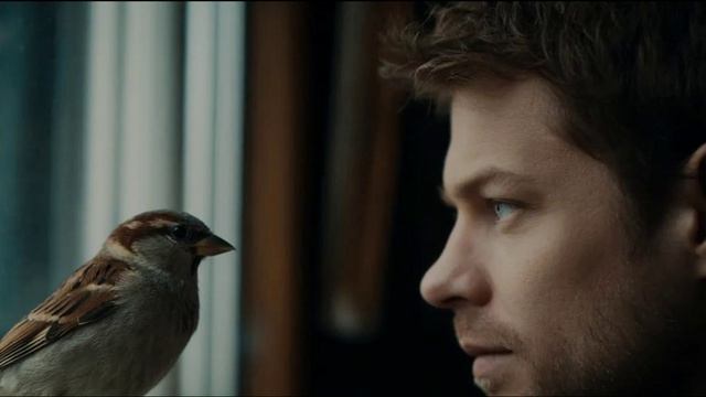 Анатолий Бабушкин Воробей