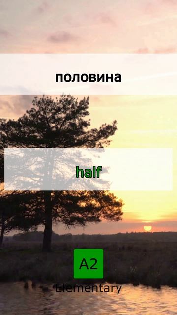  Проверь себя! Базовый Английский 04 May 2026