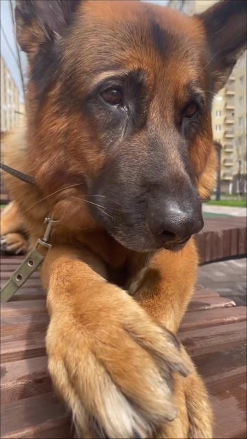 Песню написала Https://t.me/napishu_vam_pesny/228