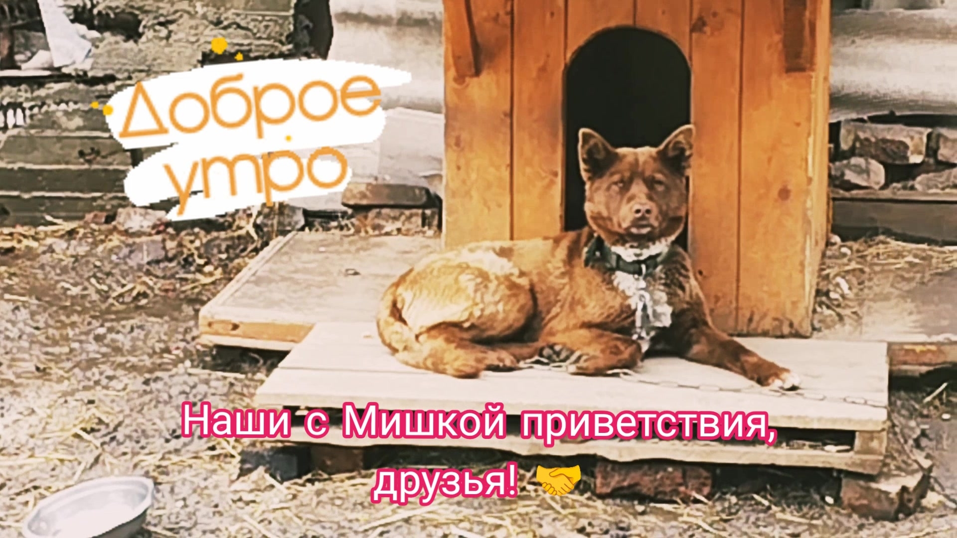 Мишка и дождь. 19-04-2026
