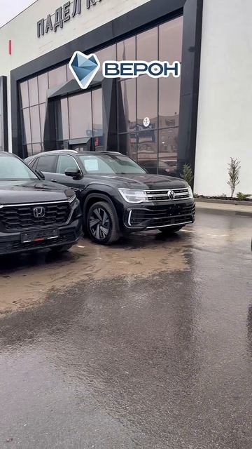 Октавия Верон