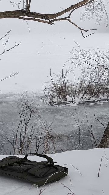 C6f6c313146a20afb35460afe7847efe