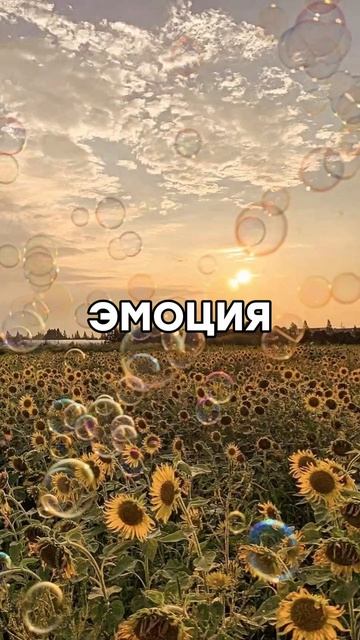 E755db062b31be54f99176b7f1ea4118