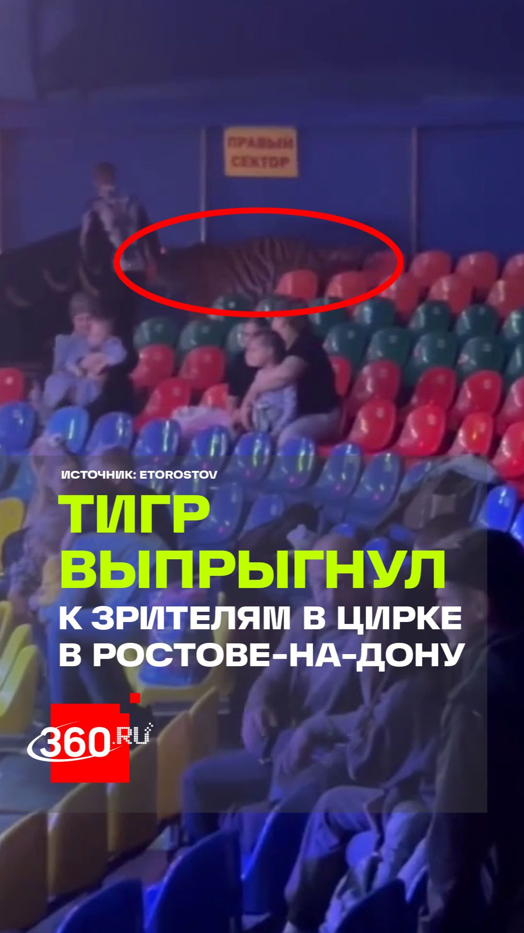 83efc8decdb737d8a2ec4def5053b961