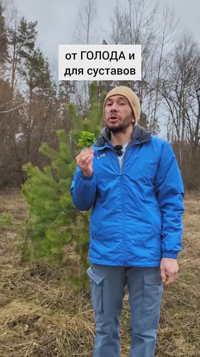 Bb579e7a8d7b4c6bdb6710839199e340