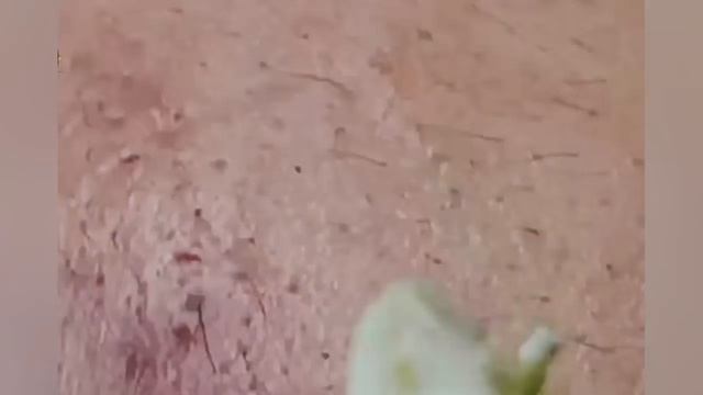 Ea094dc3c12581d2373708c02be65475