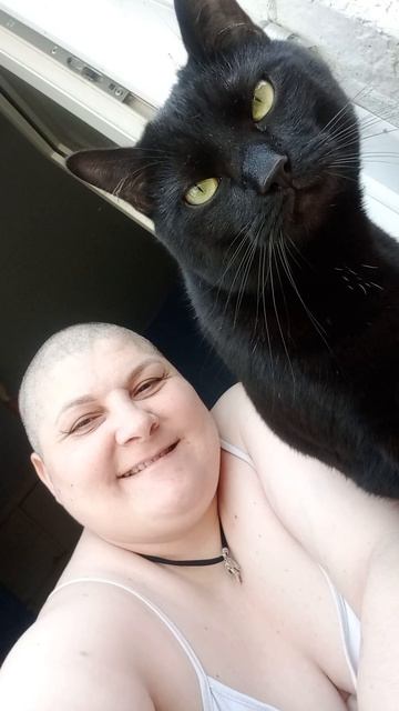 52a99e7c247456794dfcdbaec120e1d3