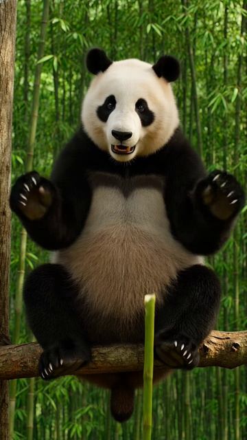 Она просто ела бамбук… И ВОТ ЧТО СЛУЧИЛОСЬ 😱»