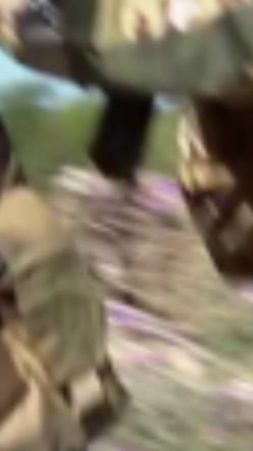 578b40ca927334e4ebdb63ec44af478f