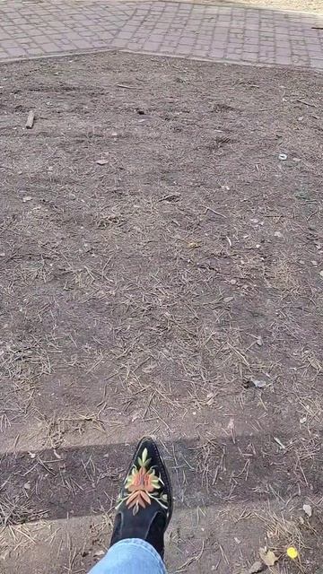 Красота вокруг тебя.