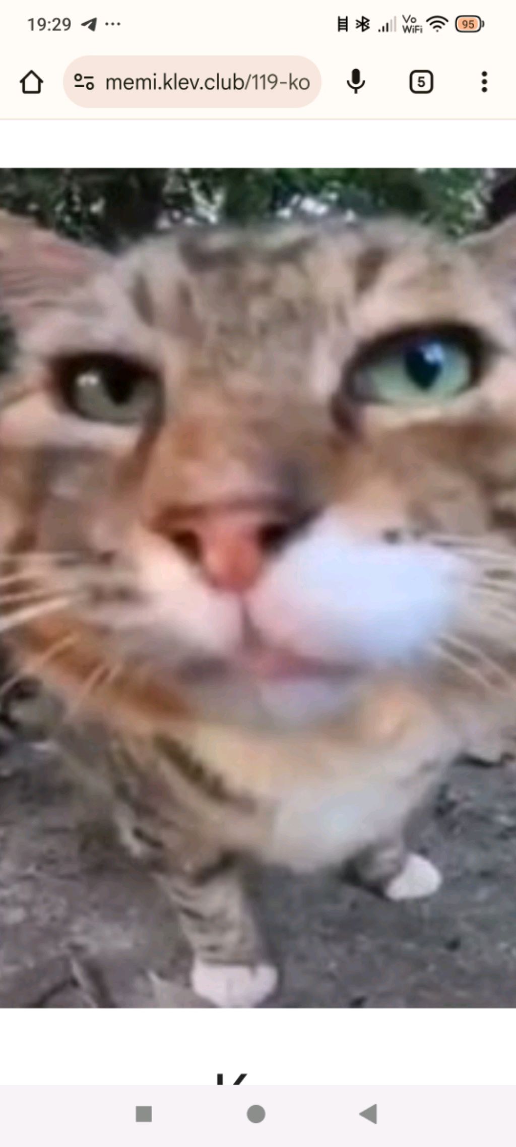 хз что писать