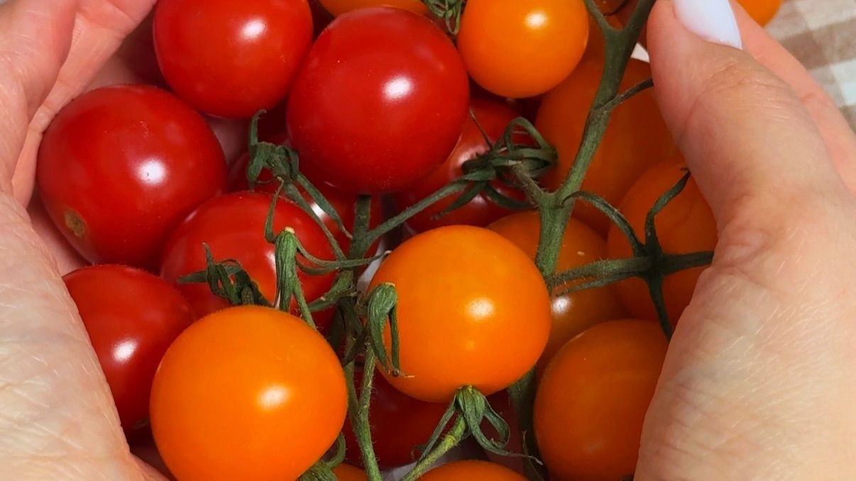 Брускетты с томатами и рикоттой 🤌🏼