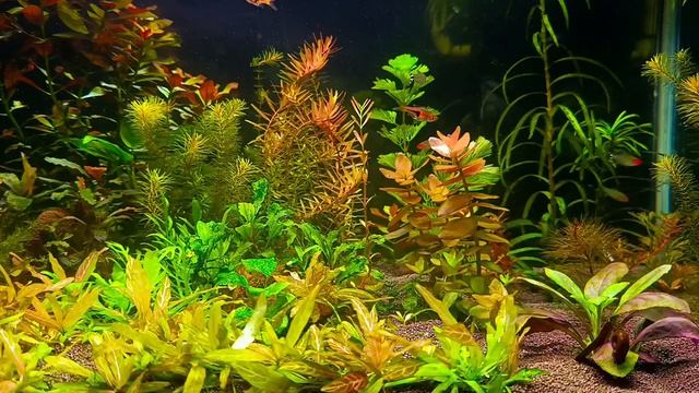 зарождение жизни