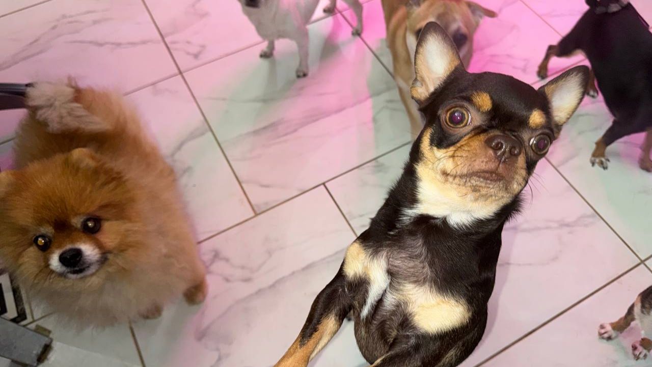 Немного перекусили, червячка заморили.