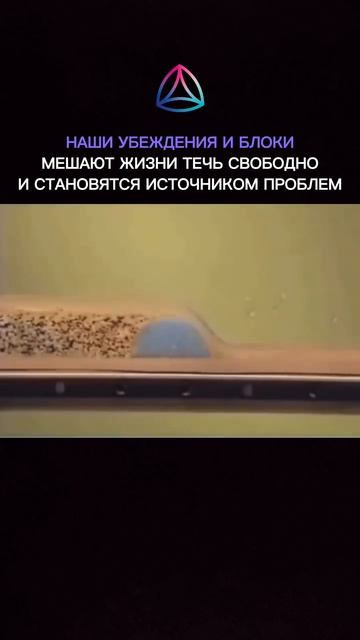 Ваши убеждения ✔️