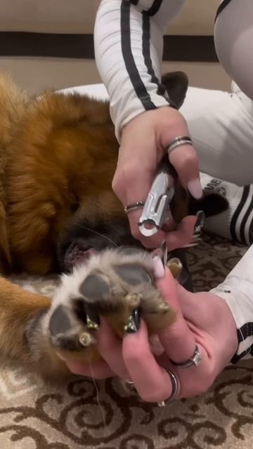 Лапакюр 👀  💅