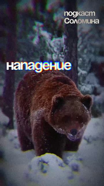 E4540ab8d410a6e32bb41c8b031395cd