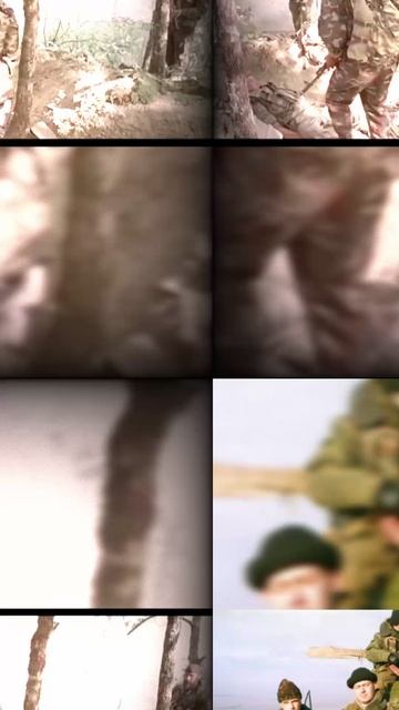 5b3d5adc525dc67a447ec592d1546b70