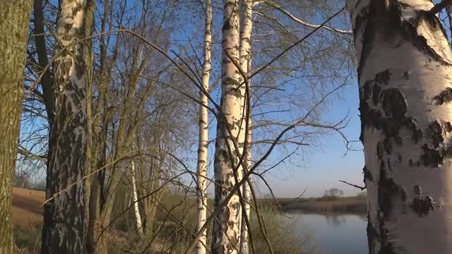 Cee7b1264e67f9faacc872abce36e2fe