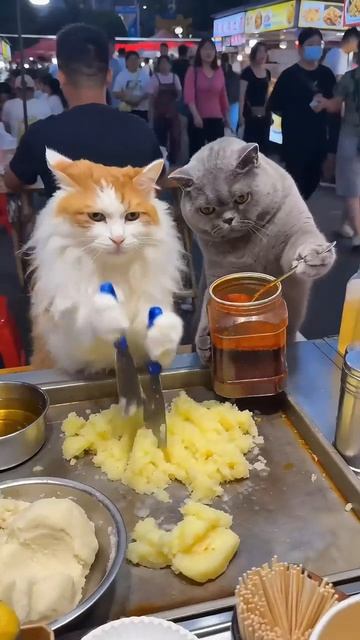 2a9276fd201b98d36721132e883e078b