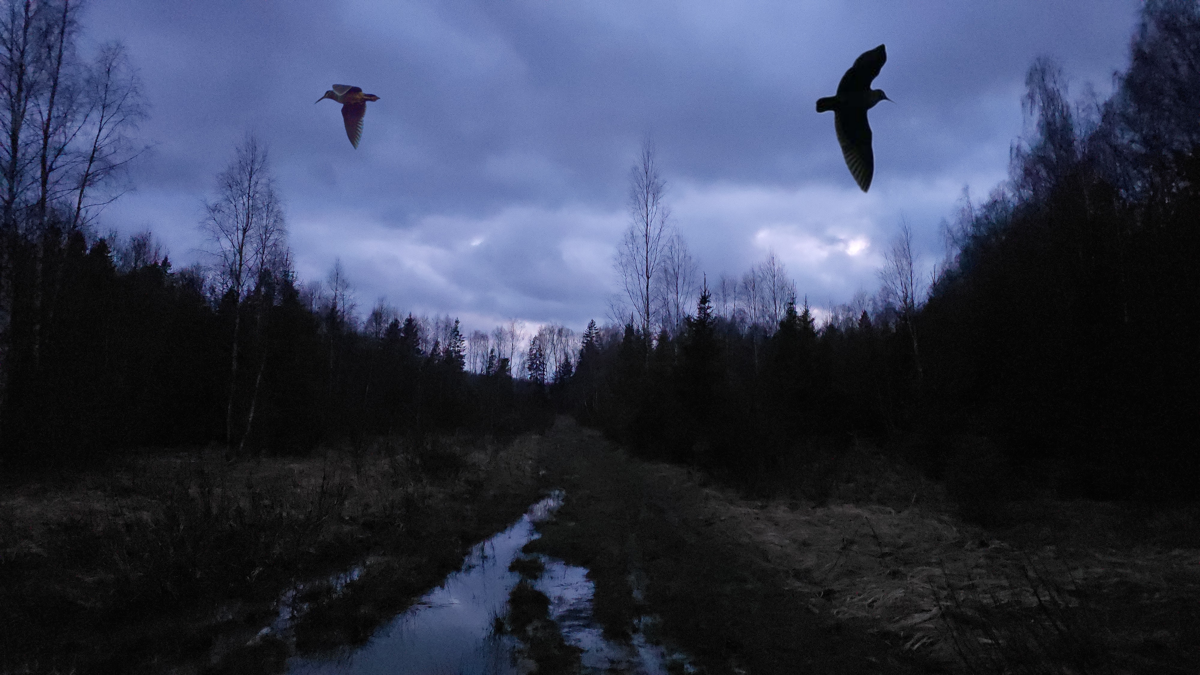 6abdf2d5f0f258efb8cf26d2f198e894