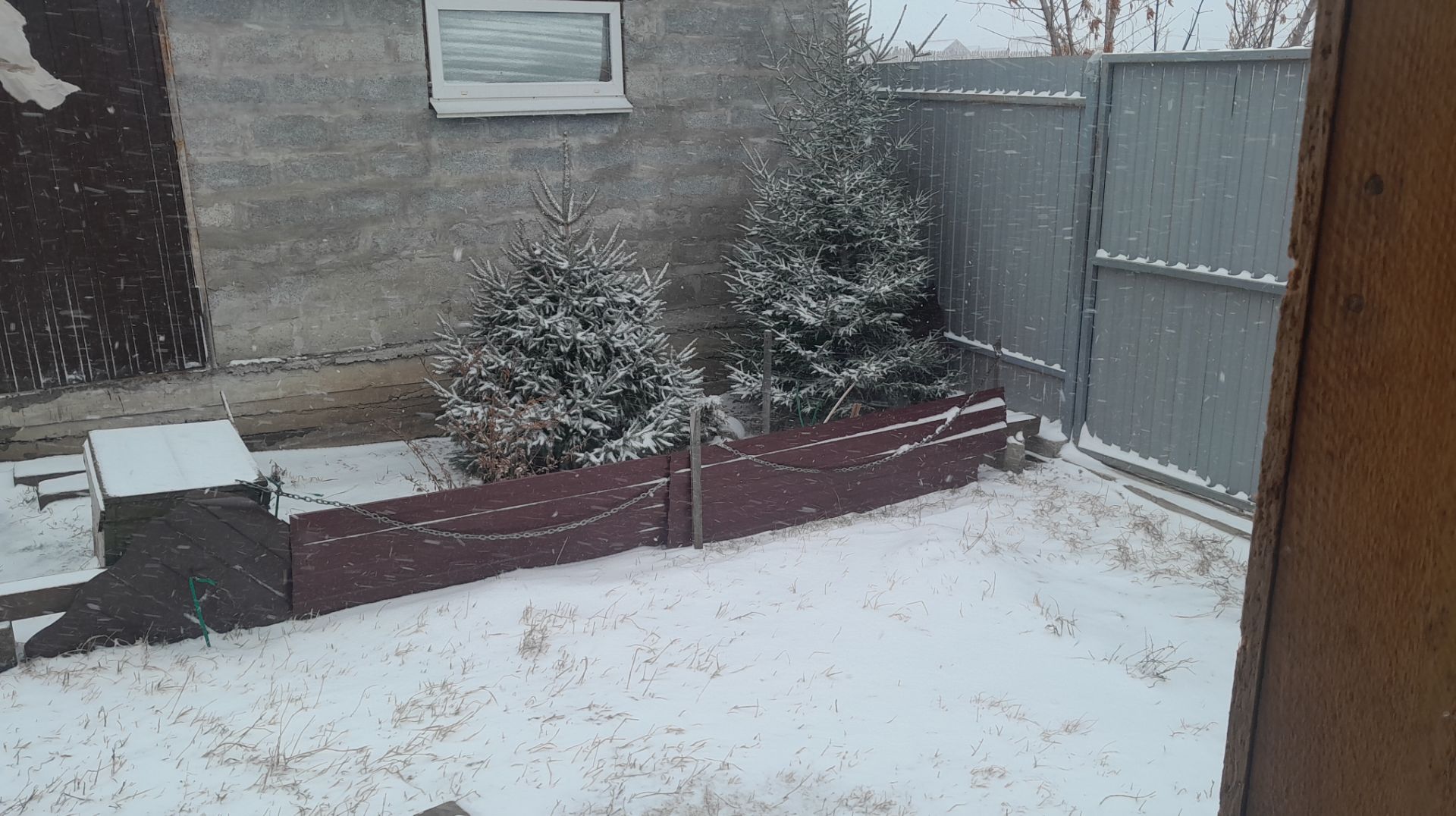 Моя скромная тихая жизнь в Сибири/ Распикировала томаты и цветы/ Метель и бешеный ветер .