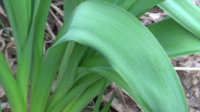 74d45c16ad1b0f764d318f46749523c7