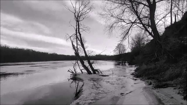 A7931e8d12479f8d08fc5137d8d975d0