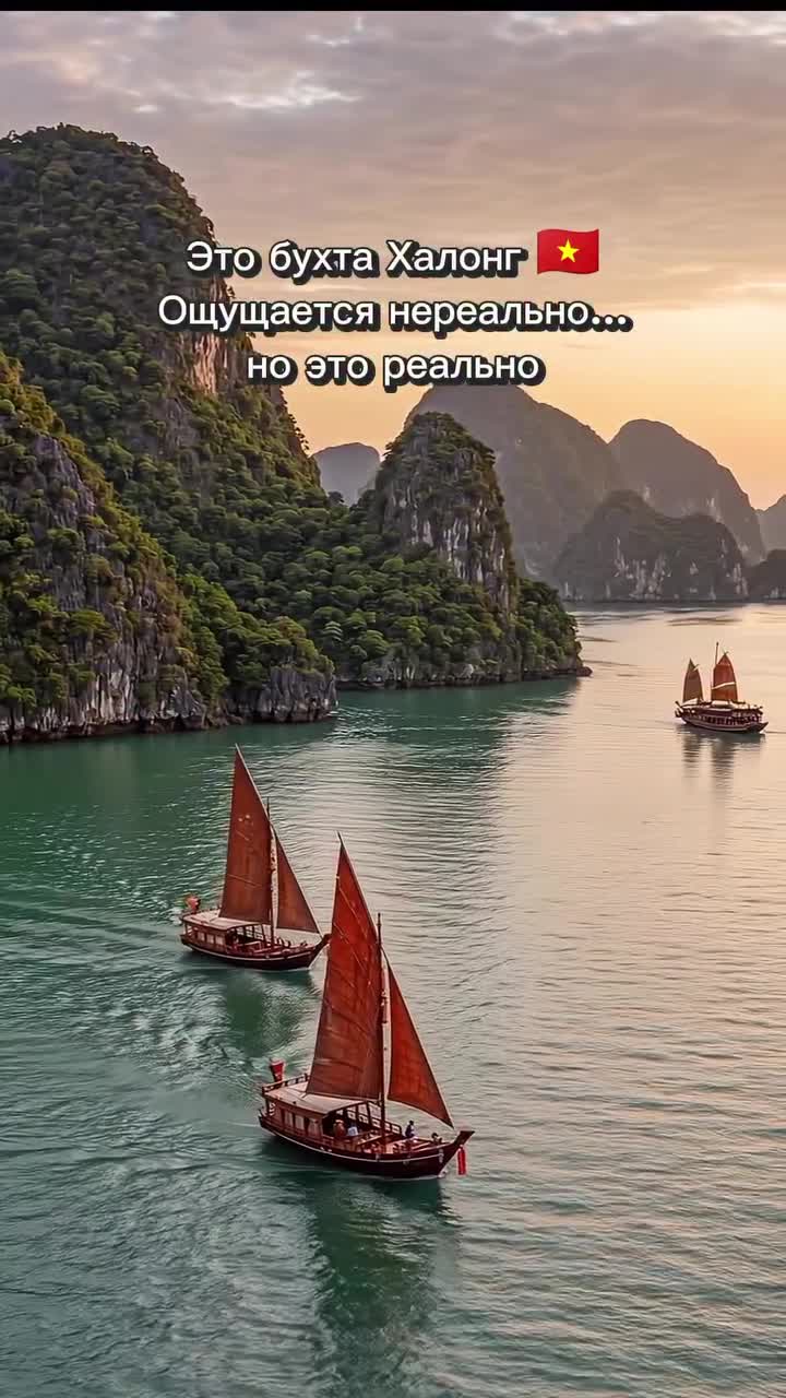 Я приглашаю тебя открыть свое сердце Вьетнаму.