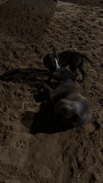 4b2a081d70f37fa8fbfa865cd5c55108