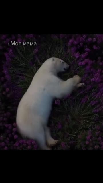 артикул в описании 👇🏻