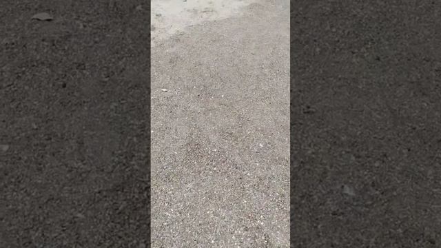 Отель Амброзия в бухте Битез. Бодрум