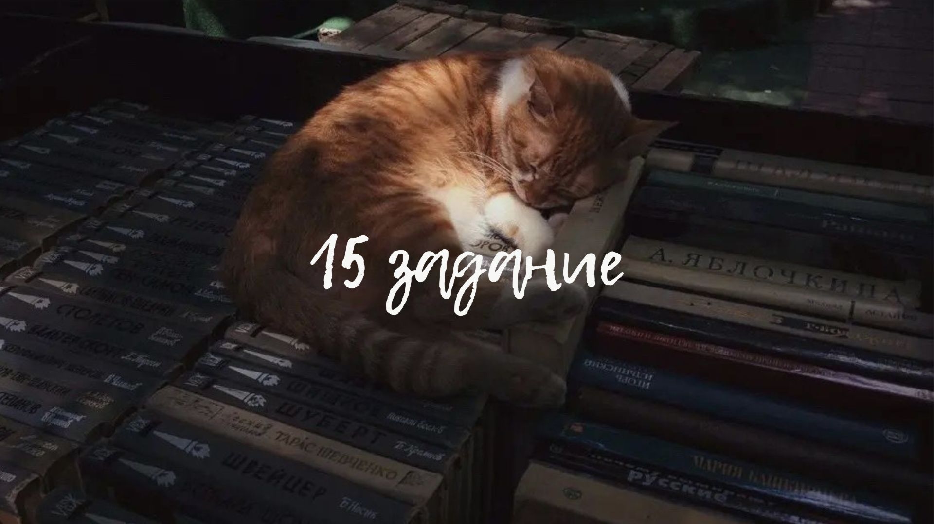 15 задание лекция (целиком)
