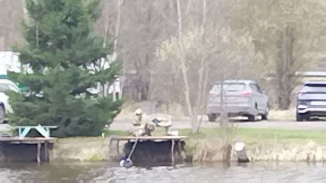 Светлые Горы Форель5 19.04.2026г.