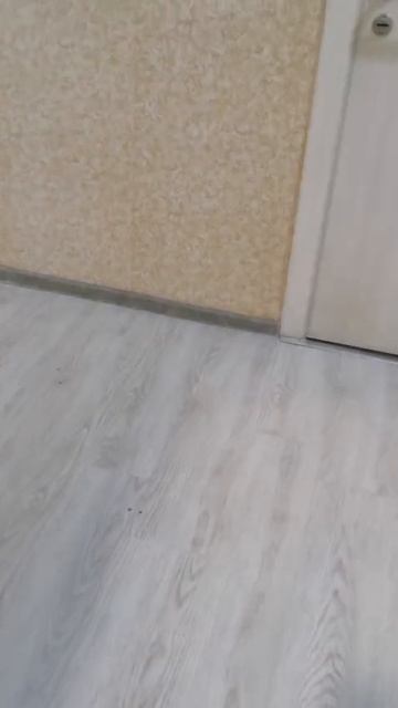 Первомайка коридор