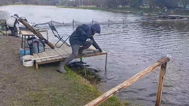 Светлые Горы Форель 19.04.2026г.