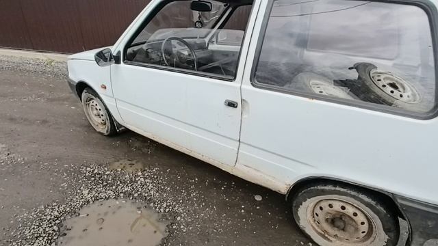 VID_20260419_123211.mp4